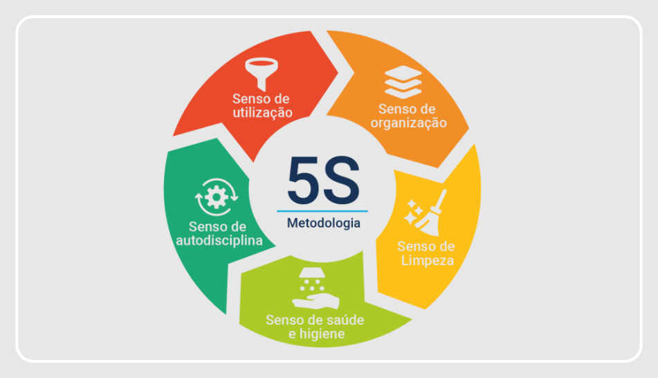 PROGRAMA 5S